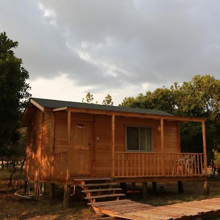 Jambo Mara Safari Lodge Ololaimutiek Номер фото