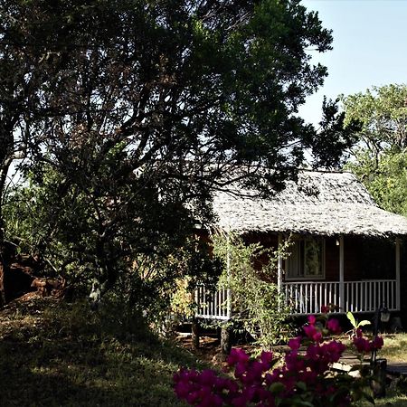 Jambo Mara Safari Lodge Ololaimutiek Екстер'єр фото