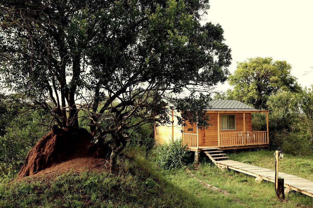 Jambo Mara Safari Lodge Ololaimutiek Номер фото
