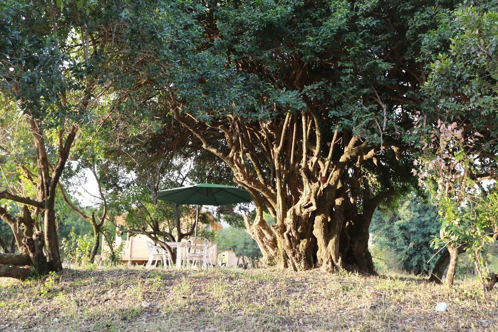 Jambo Mara Safari Lodge Ololaimutiek Екстер'єр фото