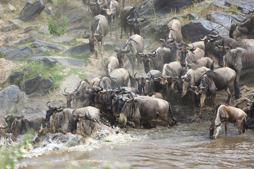 Jambo Mara Safari Lodge Ololaimutiek Екстер'єр фото