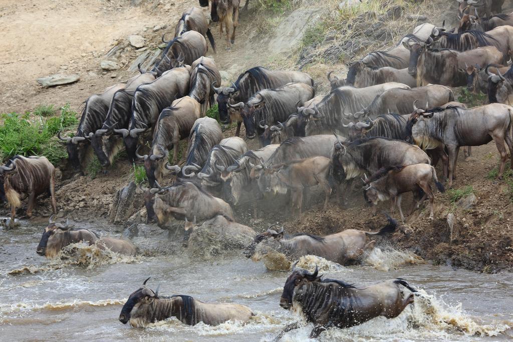 Jambo Mara Safari Lodge Ololaimutiek Екстер'єр фото