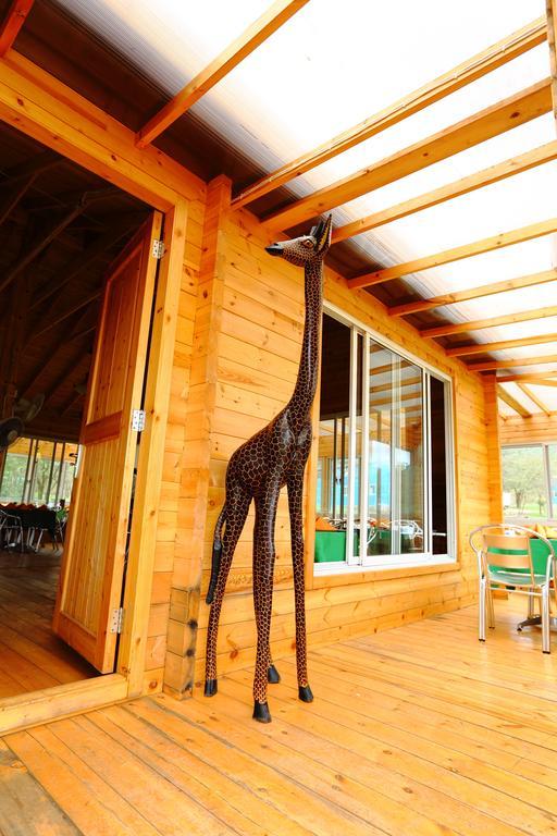 Jambo Mara Safari Lodge Ololaimutiek Номер фото