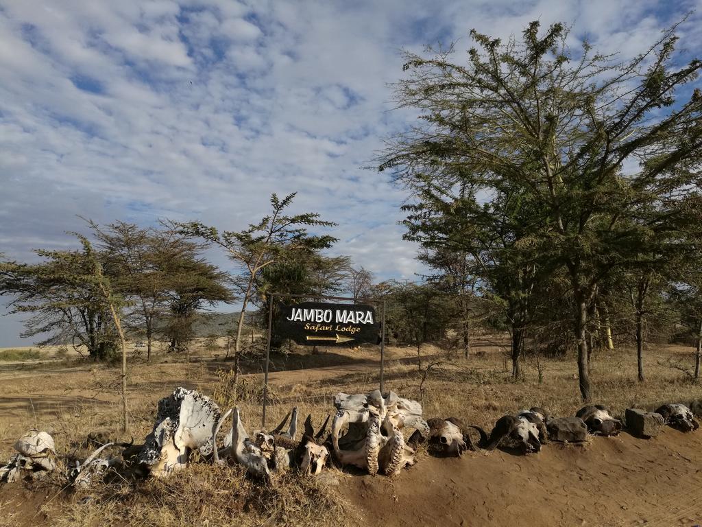 Jambo Mara Safari Lodge Ololaimutiek Екстер'єр фото