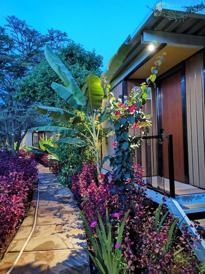 Jambo Mara Safari Lodge Ololaimutiek Екстер'єр фото