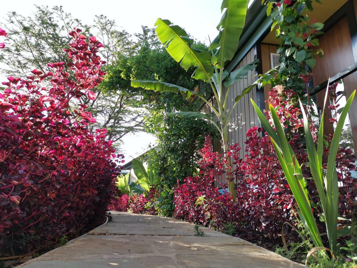 Jambo Mara Safari Lodge Ololaimutiek Екстер'єр фото