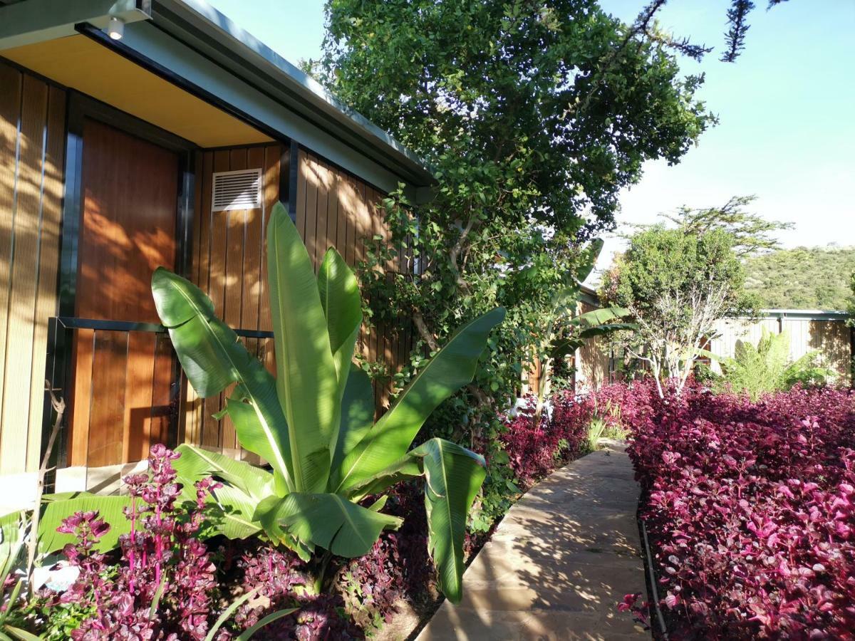Jambo Mara Safari Lodge Ololaimutiek Екстер'єр фото
