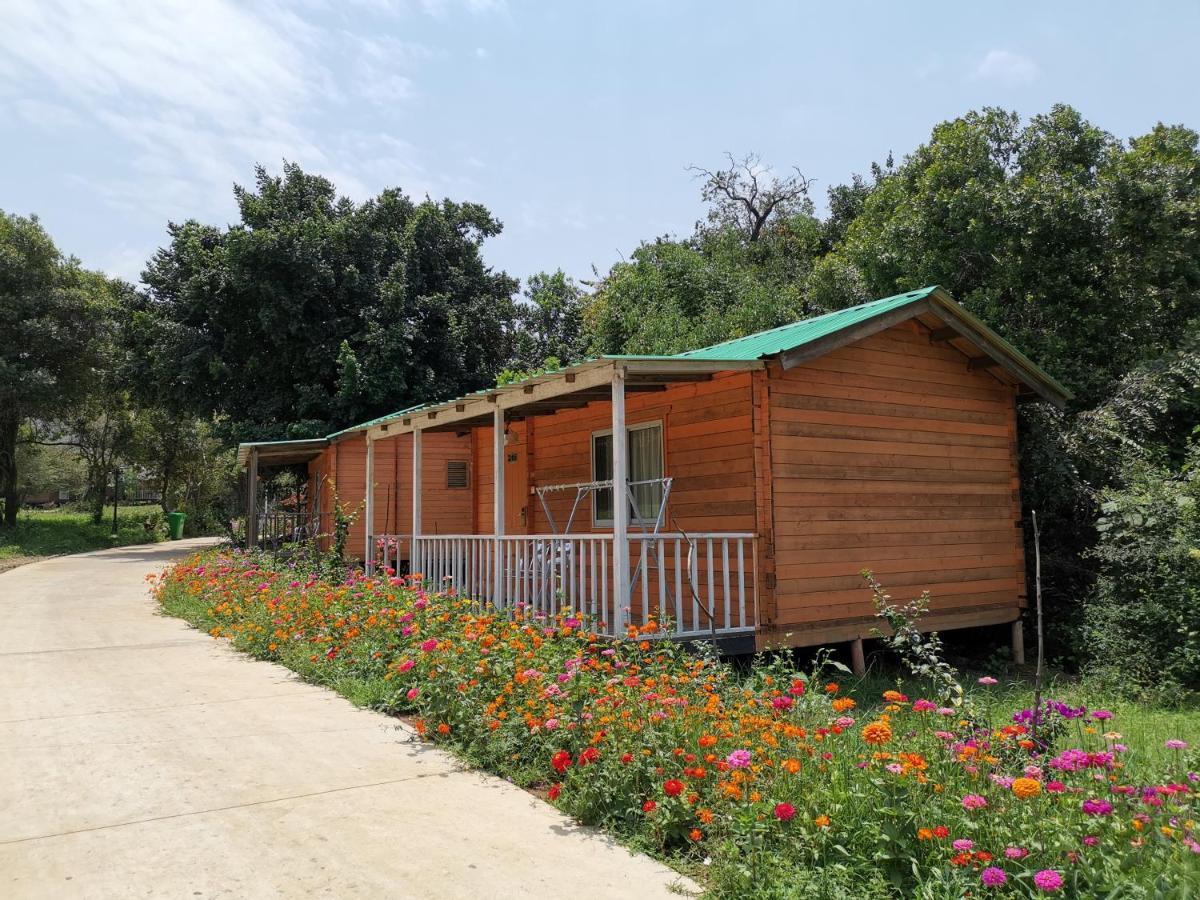 Jambo Mara Safari Lodge Ololaimutiek Екстер'єр фото